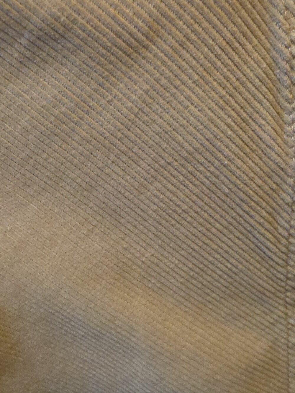 100% Cotton Neutral A-Line Skirt with Front Button - Picture 7 of 13